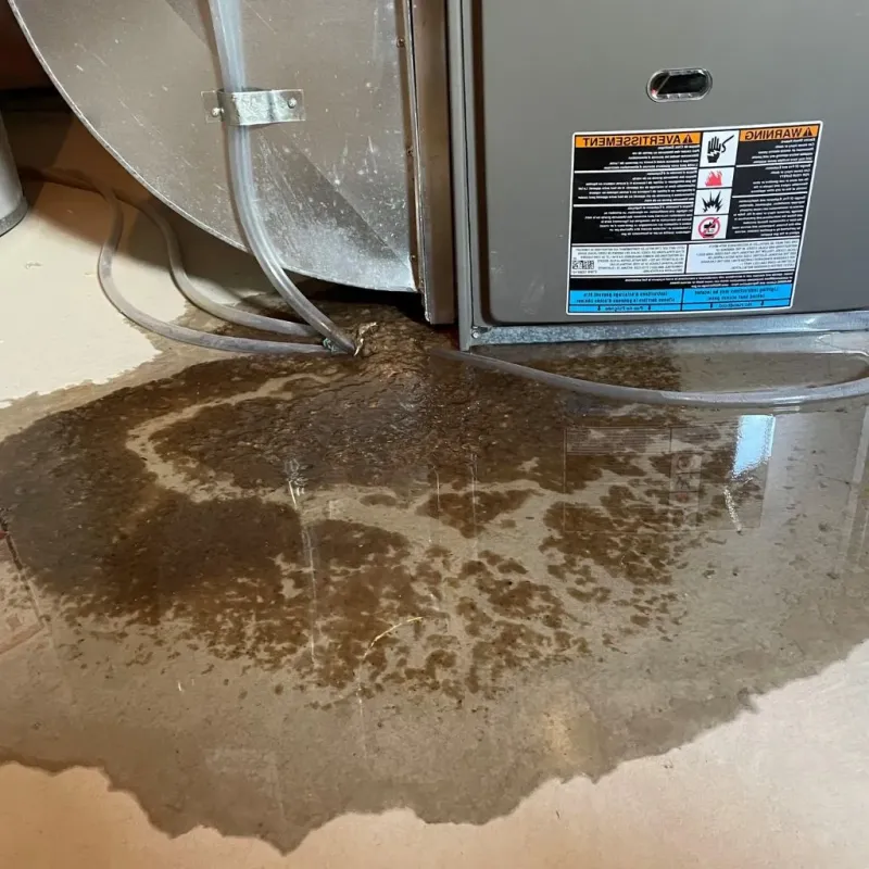 Pipe Burst and Leak Restoration in Pawnee, OK